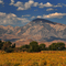 High Sierra from Owens Valley