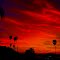 Grand Terrace Sunset