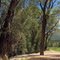 Highway 133 bike path