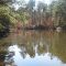 Logoly State Park, SW Arkansas