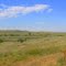 high prairie & wildflowers
