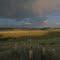 (170)Prairie Yucca, Roxborough State Park, Douglas County, Colorado