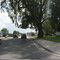 shady elm on Wadsworth Blvd.