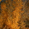 Aspen at Kountze Lake