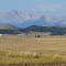 Pikes Peak Across the Horizon