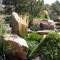 a beautiful rock garden