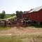 The Cows at the Farm