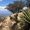 View from Dragoon Mountains