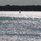 Dancing light on Okoboji