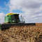 Milo Harvest in Nebraska