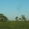 Taylor Horsefest sign and trees