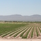 Looking into Mexico From Texas
