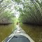 Kayaking Matlacha