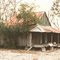 abandoned single-pen log cabin, Alton Fla (12-1994)
