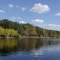 Suwannee River at Adams river camp