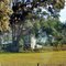 2010 Mayo, FL, USA - along SR 27