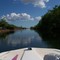 Everglades.