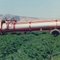 Parsley farm & Portaway Harvester