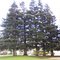 Forden park - King City, CA