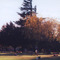 KC Cemetery