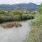 Salinas River at San Lorenzo Park, King City