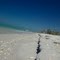 Cayo Costa Beachline