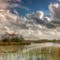 Florida Horizon