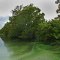 swampy ditch