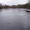 Suwannee River, Bell, Florida