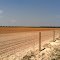 Farm field