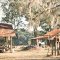 old homestead, Fayetteville, Dixie County Fla (12-1994)