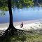 Majestic Suwannee River Oaks