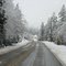 Snowday in Grass Valley 2
