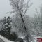 Snowday in Grass Valley 3