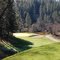 12th Hole, Alta Sierra CC, Par 3 downhill 140 yards