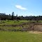 Dark Horse GC, Hole 4, Par 5, 561 yds