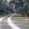 Trail/Road View