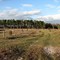 Trail/Road View