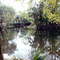 Bridge Over River
