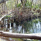 Old Bridge/Railroad Pilings