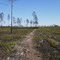 trail w/ cleared brush/fire mgmt
