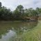 Fishing Area at Seminole State Forest