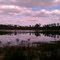 Lake Jordan January 2012