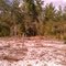 North Sulphur Island Loop January 2012