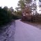 Hana Dr before and after burn January 2012