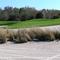 The Legacy Hole 11