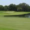 Laurel Oak CC