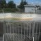 abandoned pool
