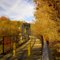 Rail Trail