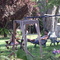 in the back yard